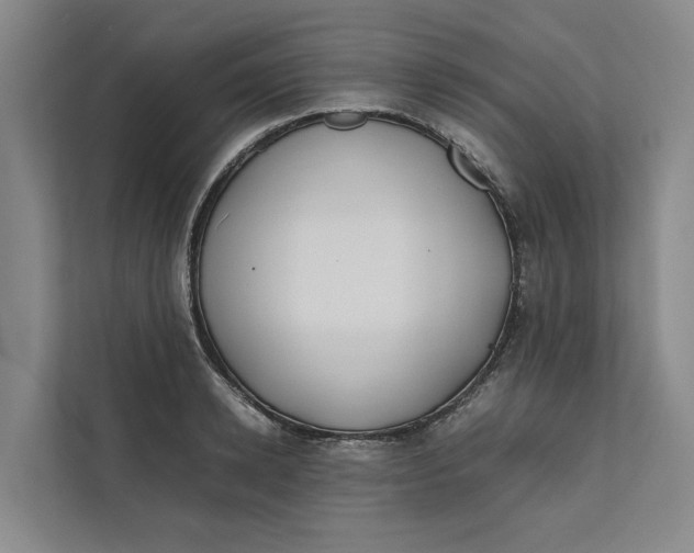 X0000112400942200909041333