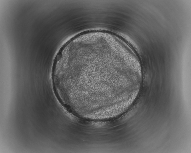 X0000112400943200909041333