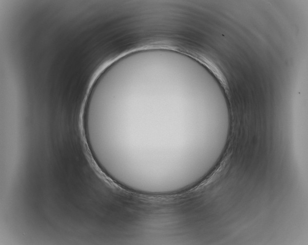 X0000112400944200909041333