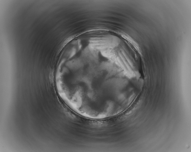 X0000112400945200909041333