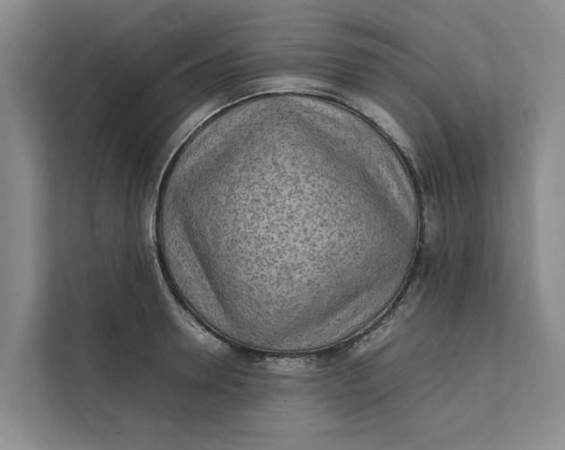 X0000112400946200909041333