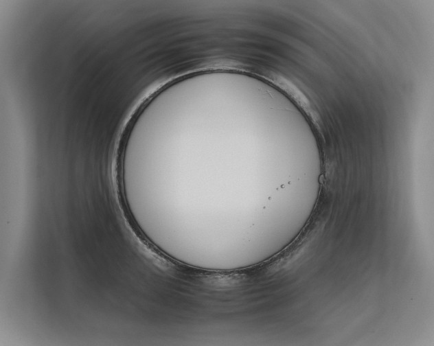 X0000112400947200909041333