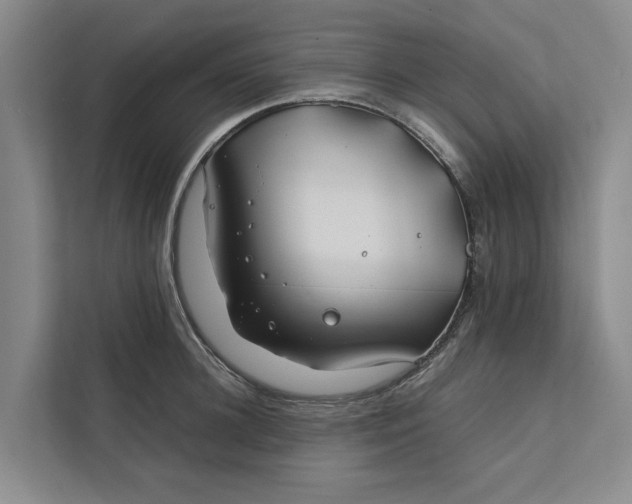 X0000112400948200909041333