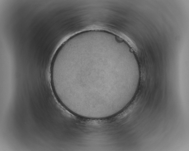 X0000112400950200909041333