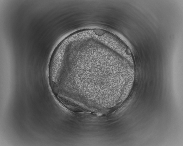 X0000112400951200909041333