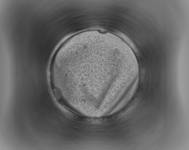 X0000112400955200909041333