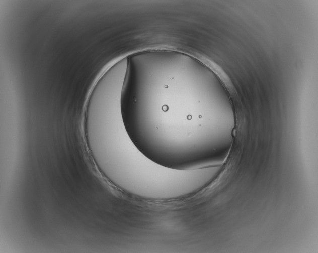 X0000112400956200909041333