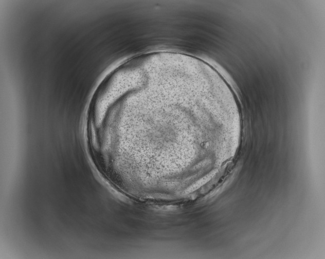 X0000112400957200909041333