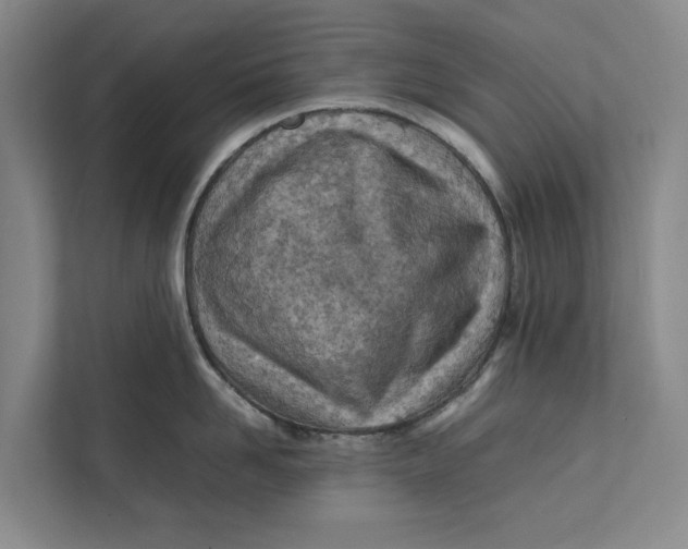 X0000112400958200909041333