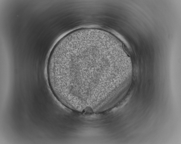 X0000112400959200909041333