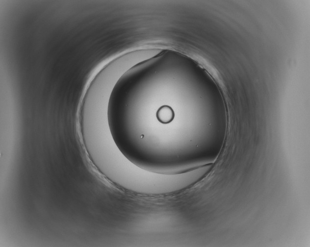 X0000112400960200909041333