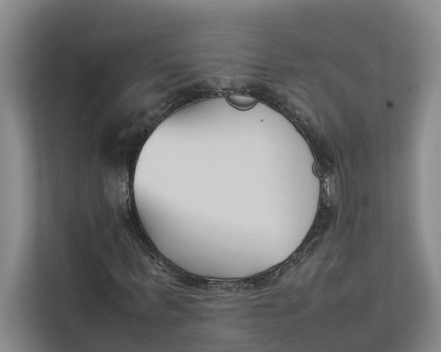 X0000112400963200909041333