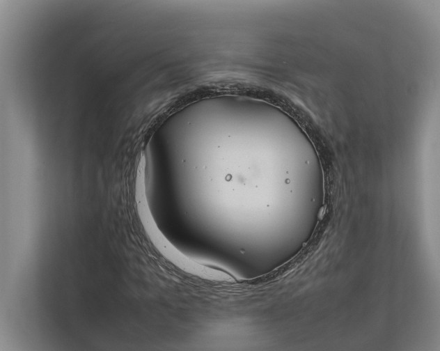 X0000112400965200909041333