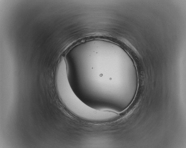 X0000112400969200909041333
