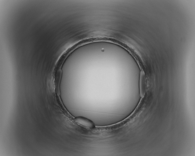 X0000112400973200909041333