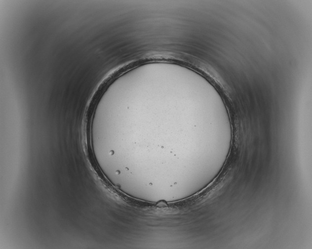 X0000112400984200909041332
