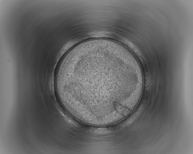 X0000112400986200909041332