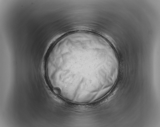 X0000112400987200909041332
