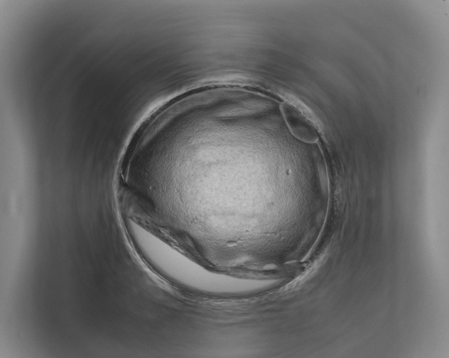 X0000112400989200909041332