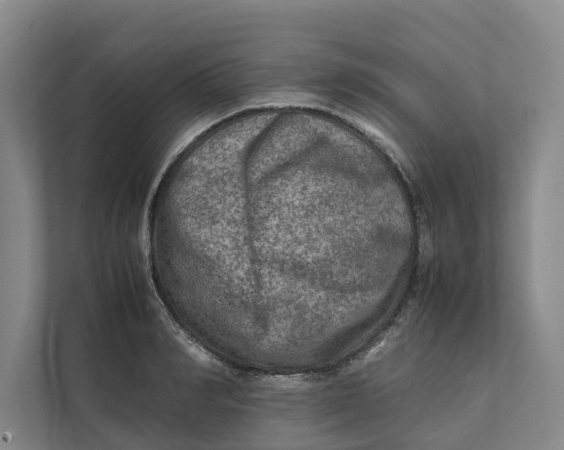 X0000112400990200909041332