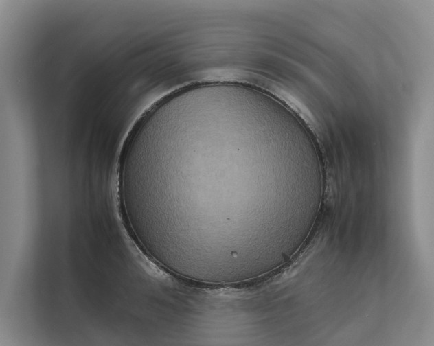 X0000112400992200909041332