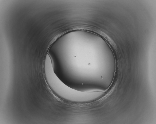 X0000112400993200909041332