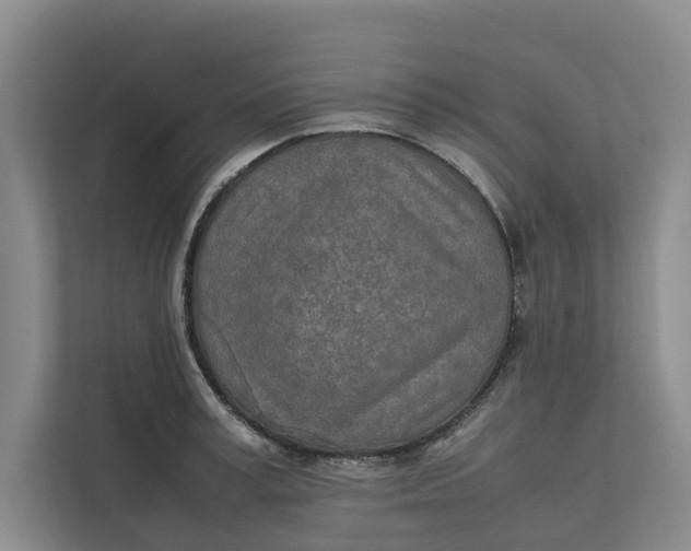 X0000112400995200909041332