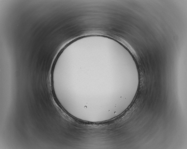 X0000112400996200909041332