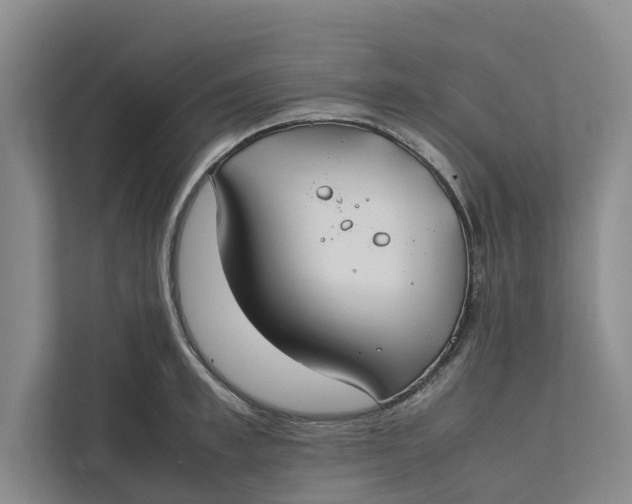 X0000112400997200909041332