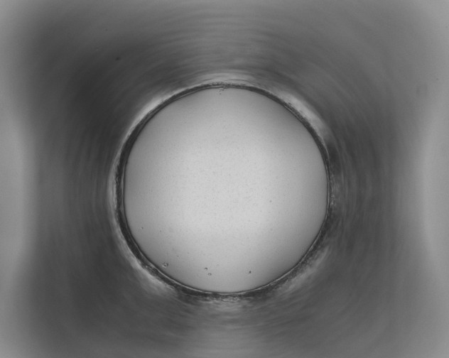X0000112400999200909041332