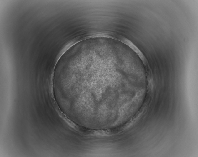 X0000112401002200909041332