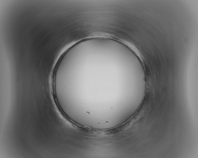 X0000112401003200909041332