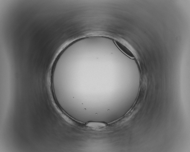 X0000112401005200909041332
