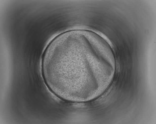 X0000112401006200909041332
