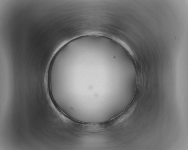 X0000112401007200909041332