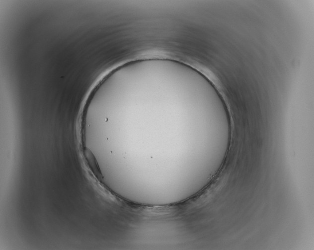 X0000112401008200909041332