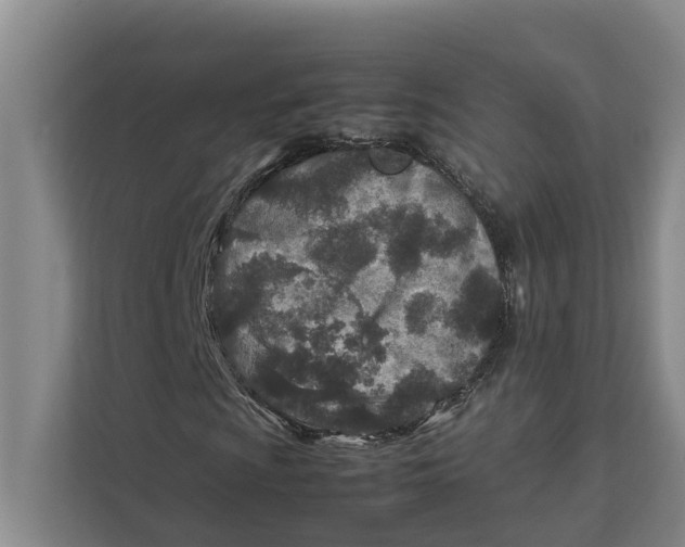 X0000112401009200909041332