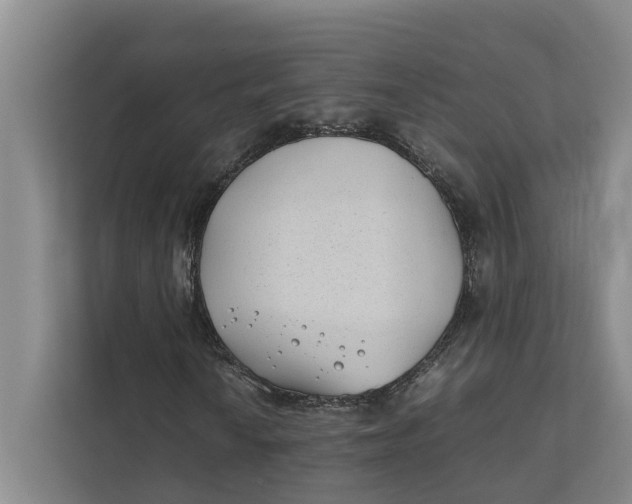 X0000112401010200909041332
