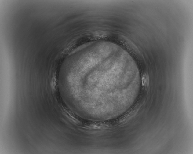 X0000112401011200909041332