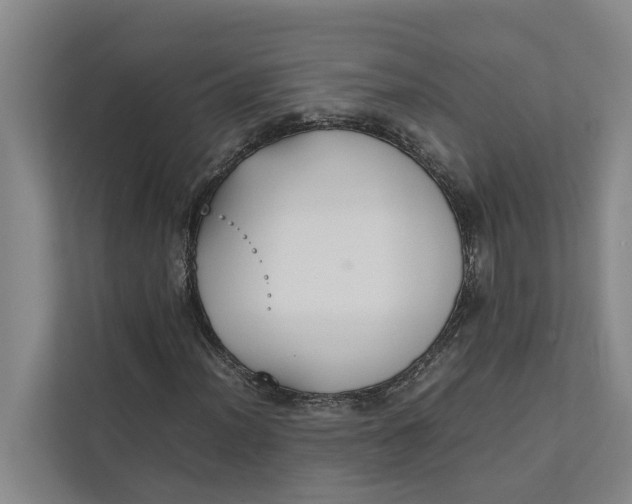 X0000112401012200909041332