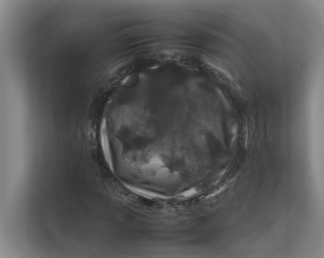 X0000112401013200909041332