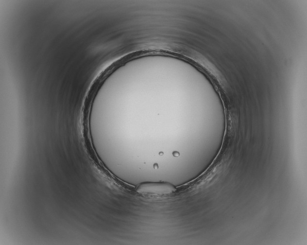 X0000112401020200909041332