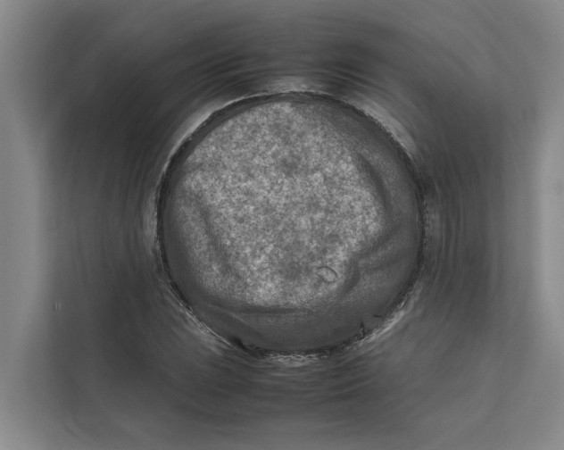 X0000112401023200909041332