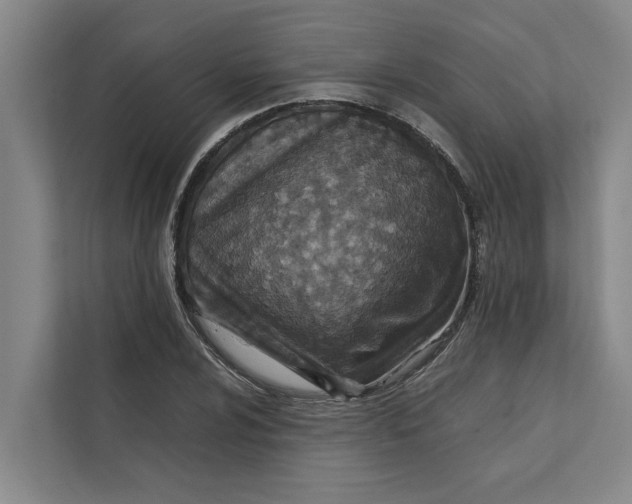 X0000112401024200909041332