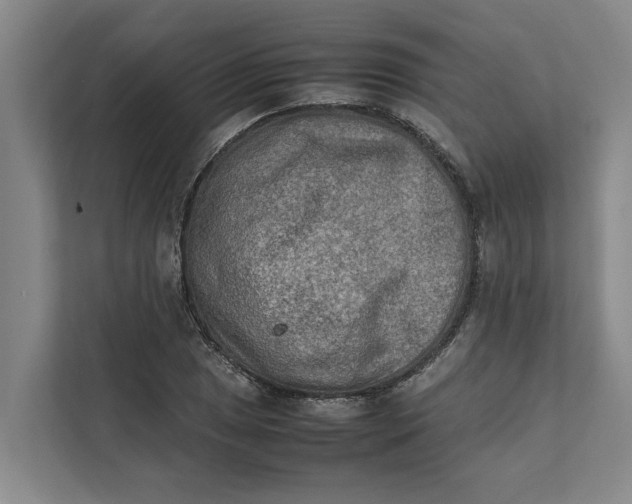 X0000112401025200909041332