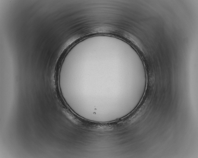 X0000112401026200909041332