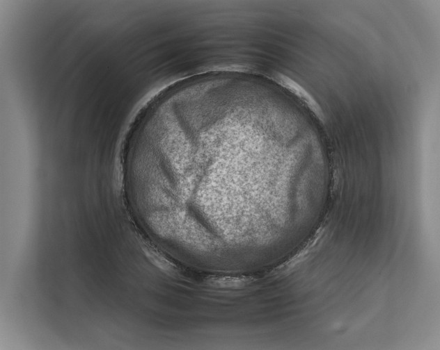 X0000112401027200909041332