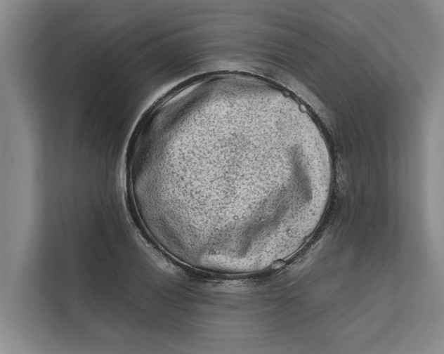 X0000112401028200909041332