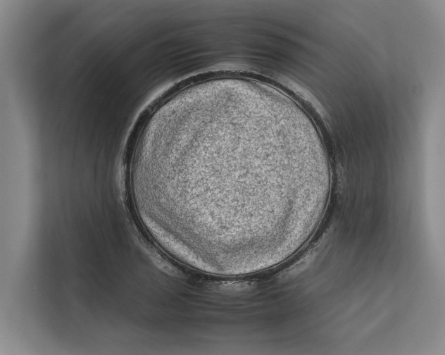 X0000112401029200909041332