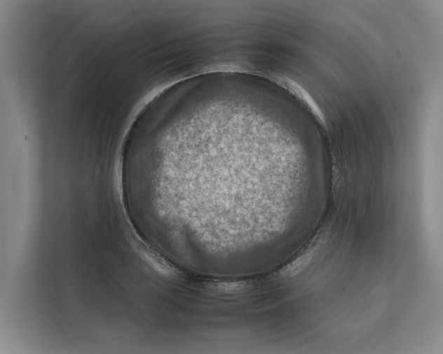 X0000112401035200909041332